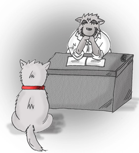 ���Ɣ��ƊD�F